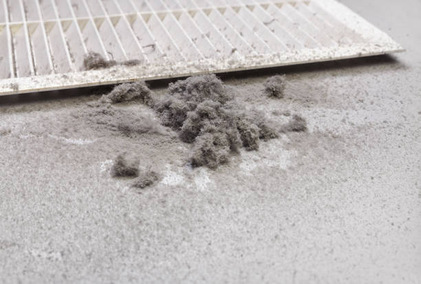 Best Commercial Air Duct Cleaning  in Lake Forest, IL