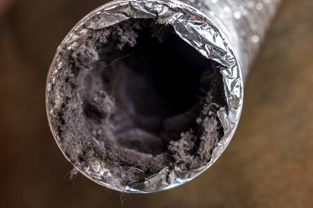 Best Best Air Duct Cleaning Company  in Lake Forest, IL