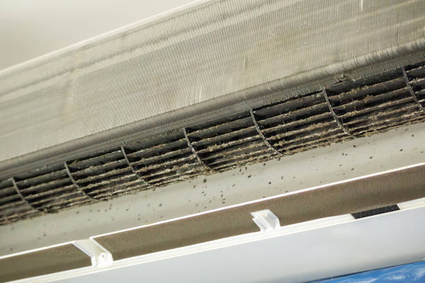 Best HVAC Duct Inspection Services  in Lake Forest, IL